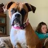 odie0429